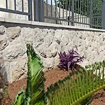 Lucija