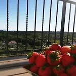 Lucija Apartment