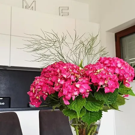 Lucija Apartment